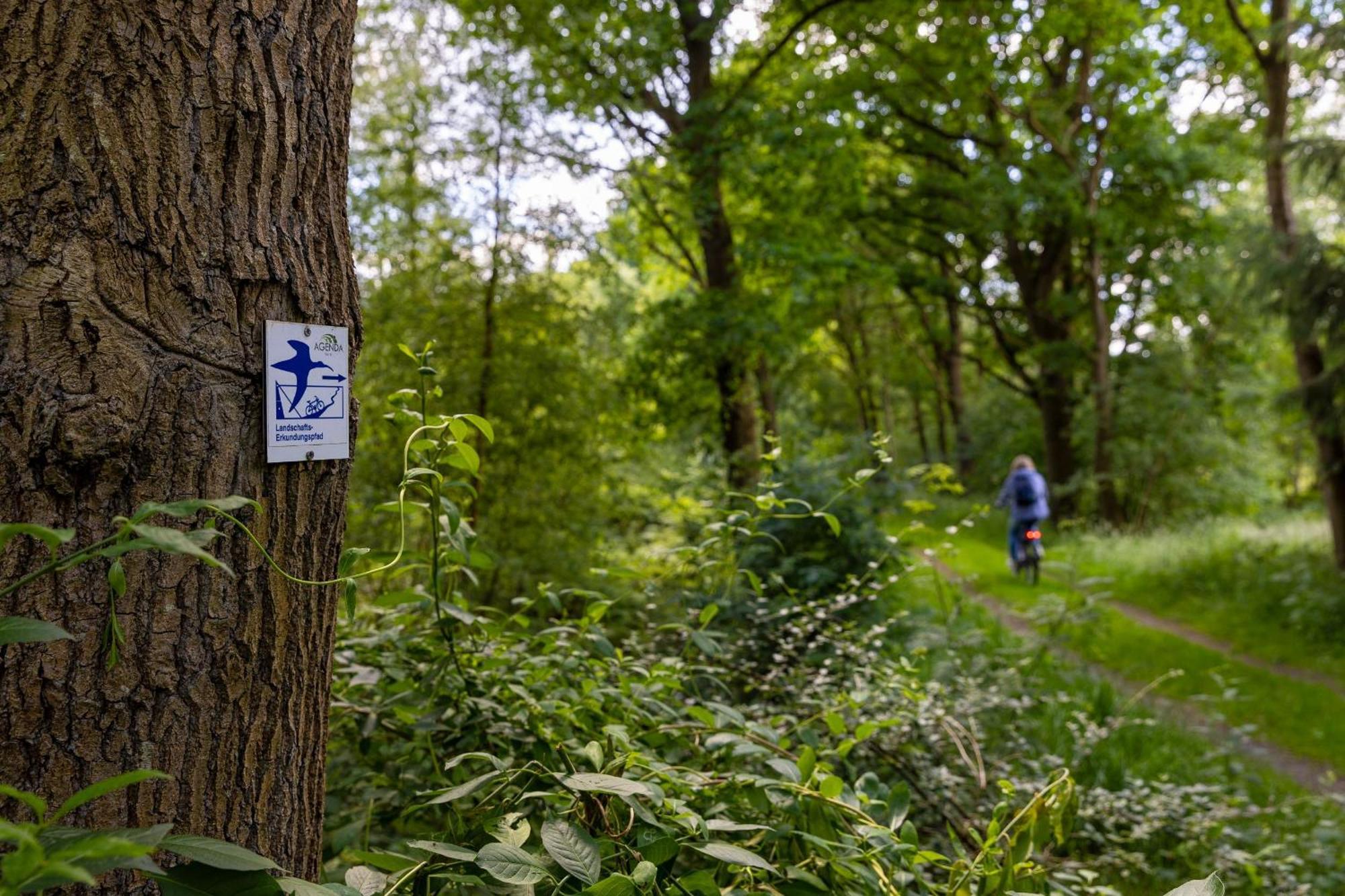 Ferienhaus Liegeplatz Dangast Buitenkant foto